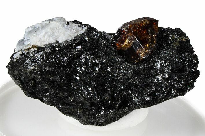 Fluorescent Zircon Crystal and Magnetite in Biotite Schist - Norway #363861